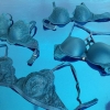 La SENZA Sale
