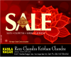 Ram Chandra Krishan Chandra Sale