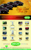 Sargam Electronics Sale