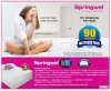Springwel Sale
