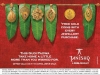 Tanishq Sale