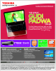 Toshiba Sale
