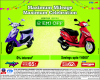 TVS Showroom Sale