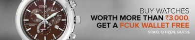 flipkart_free_wallet_sep_2013.jpg